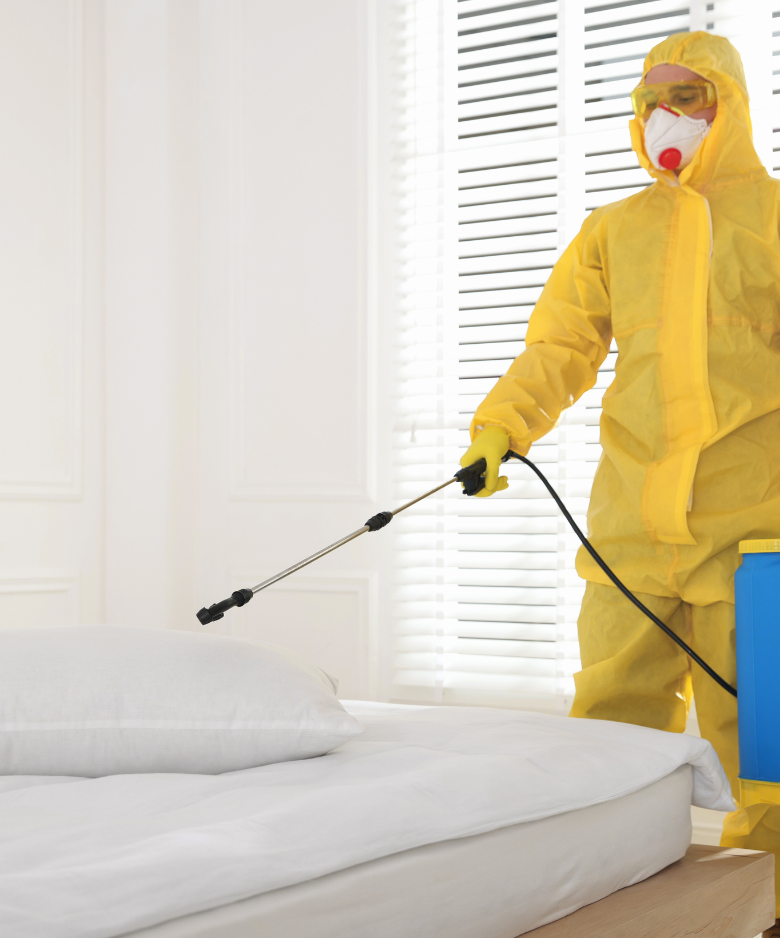Professional Pest Control Team in Mount George